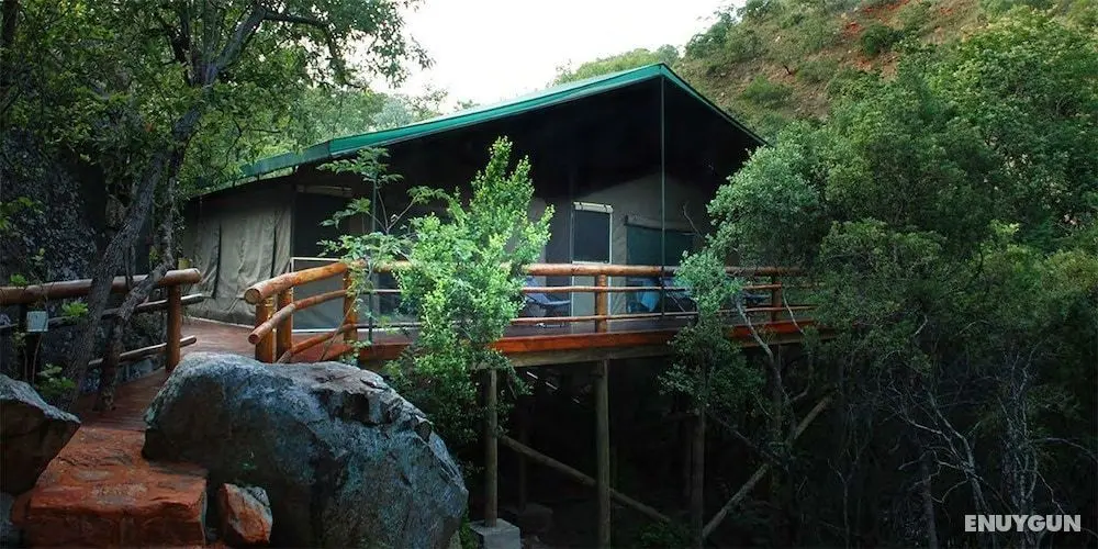 Black Leopard Camp - Dış Mekan