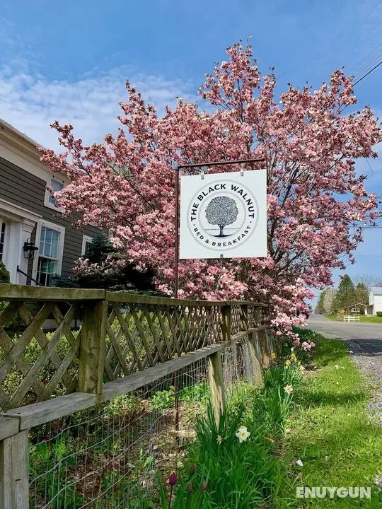 Black Walnut Bed and Breakfast - Öne Çıkan Resim