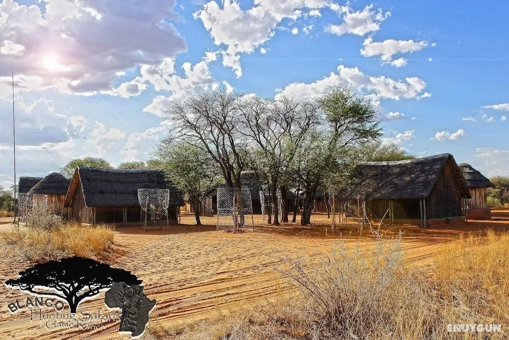 Blanco Hunting Safaris Game Ranch - Öne Çıkan Resim