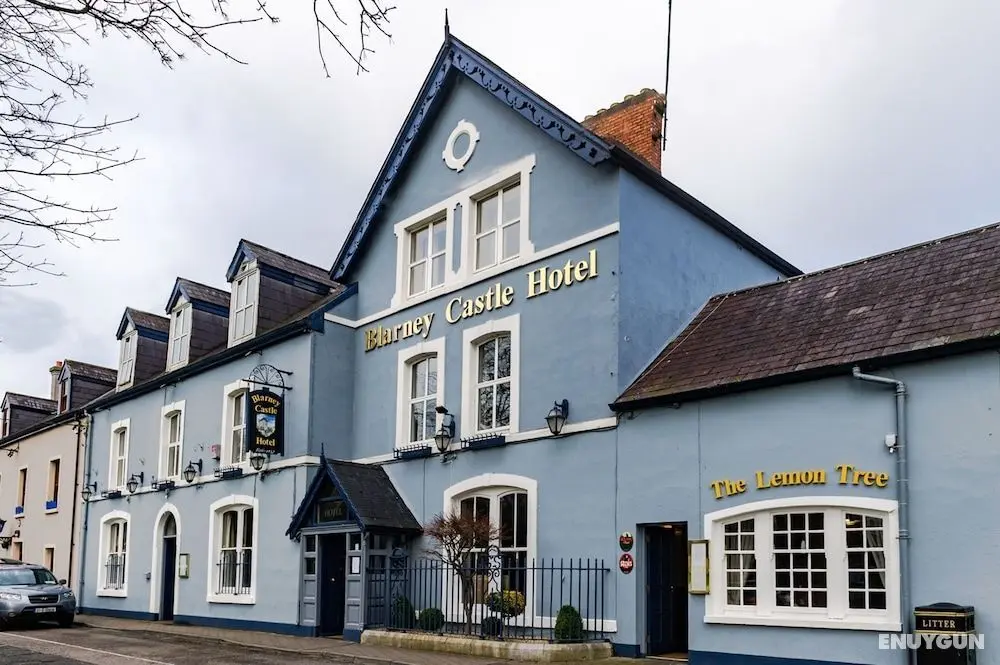 Blarney Castle Hotel - Dış Mekan