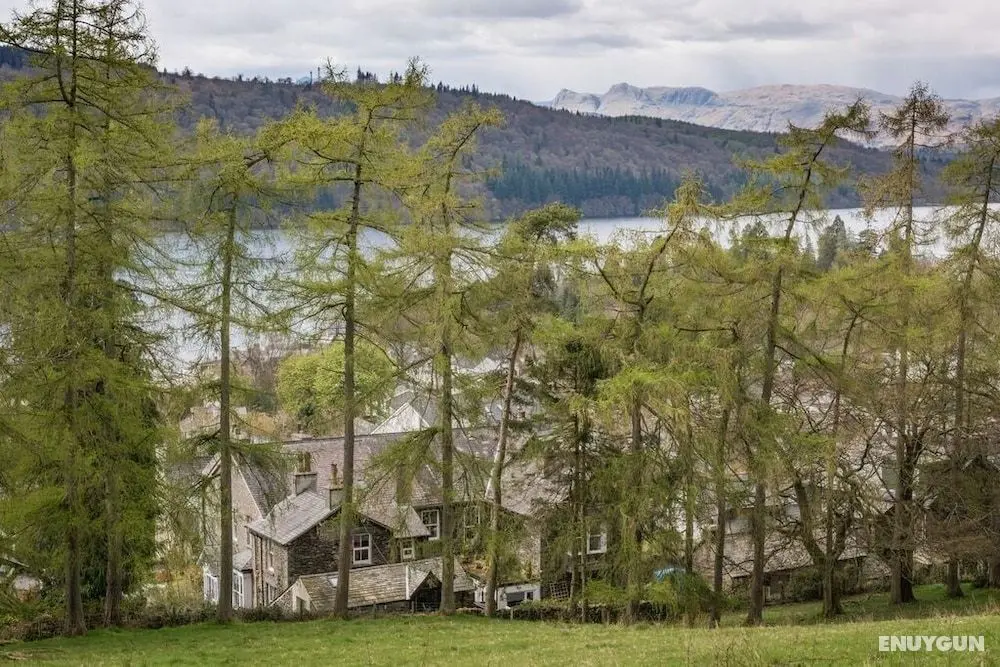 Blenheim Lodge - Öne Çıkan Resim