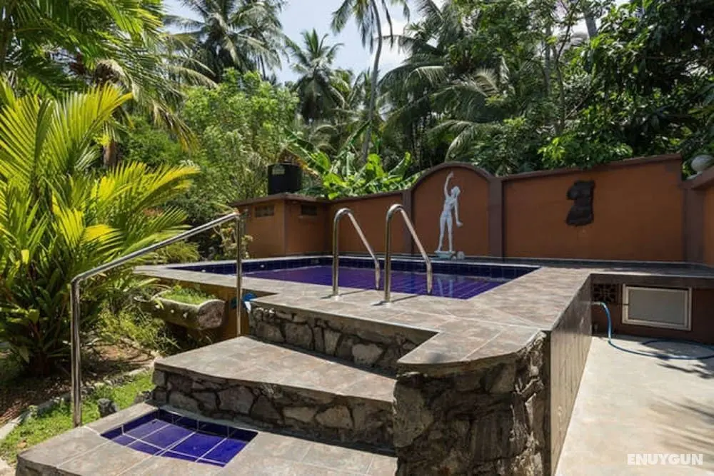 Bliss Villa Bentota - Havuz