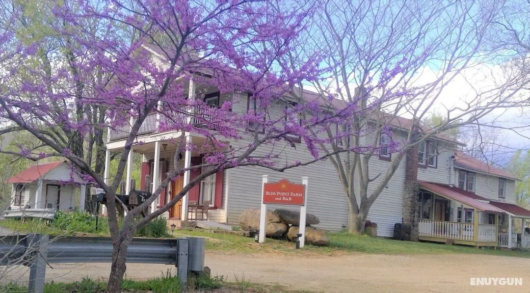 Bliss Point Farm and B&B - Öne Çıkan Resim