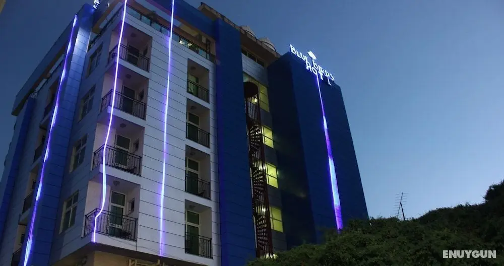 Blue Birds International Hotel - Öne Çıkan Resim