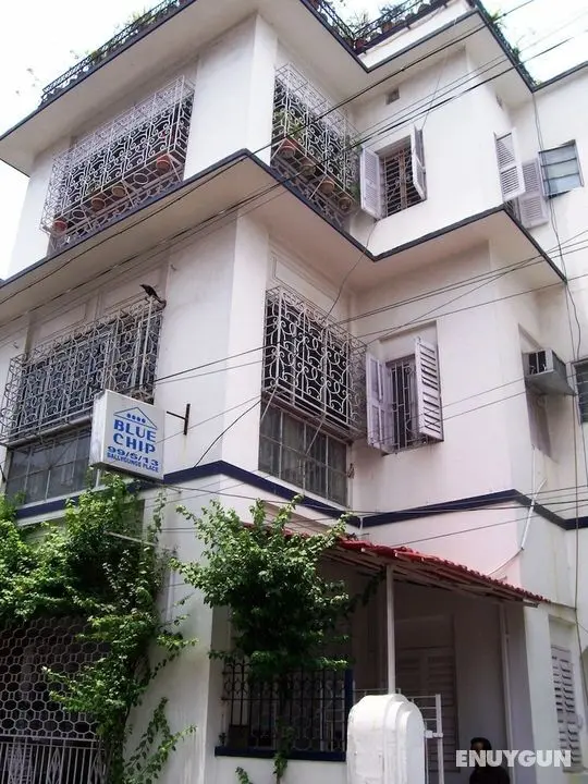 Blue Chip Guest House Kolkata - Öne Çıkan Resim