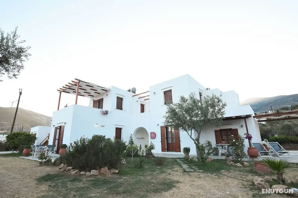 Blue Fish Apartments - Öne Çıkan Resim