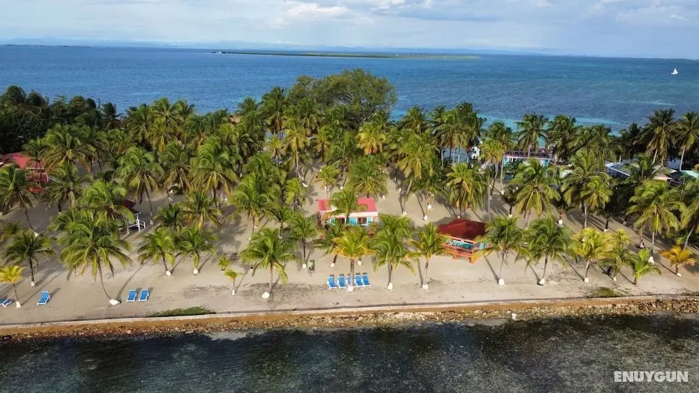 Blue Marlin Beach Resort - Öne Çıkan Resim