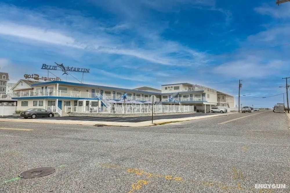 The Blue Marlin Resort - Öne Çıkan Resim