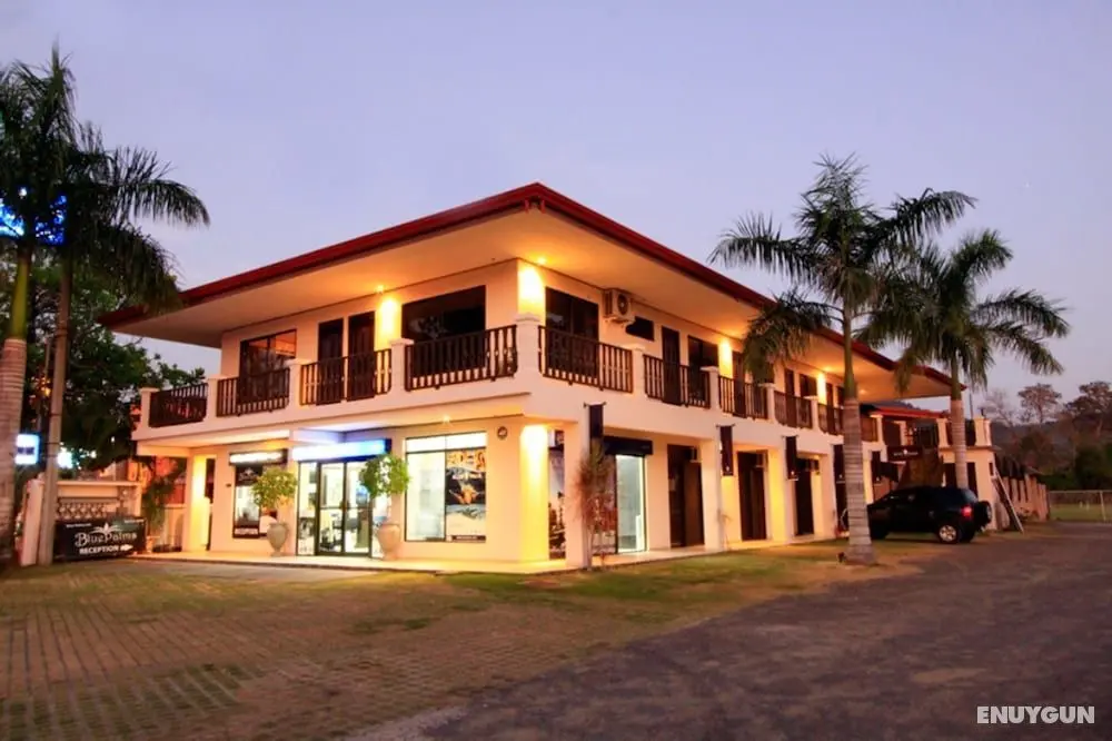 Blue Palm Hotel - Öne Çıkan Resim