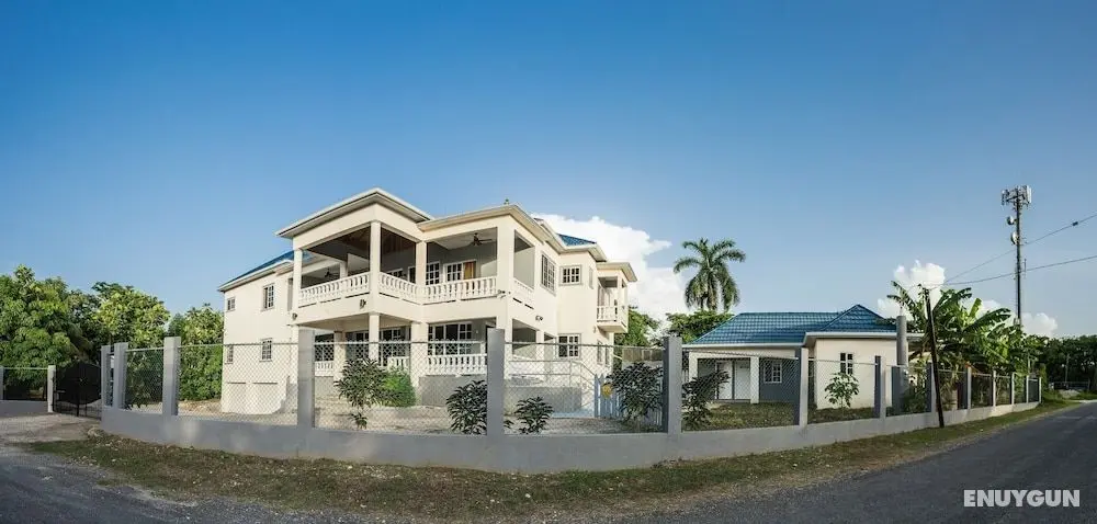 Blue Paloma Bed & Breakfast - Öne Çıkan Resim