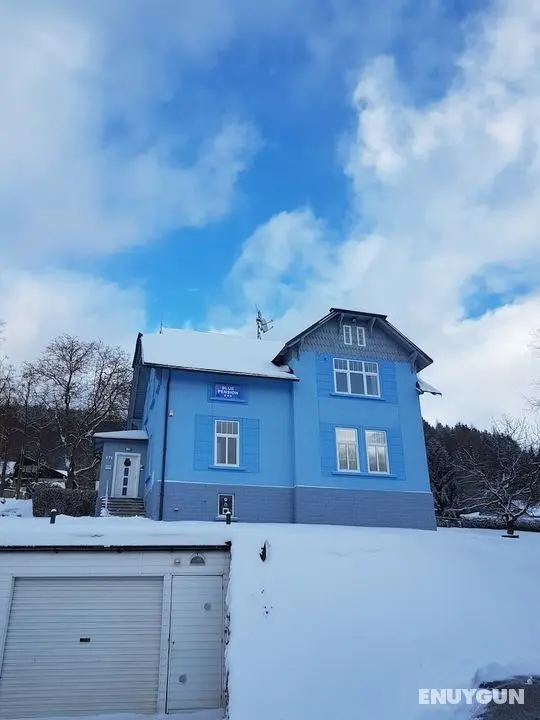 Blue Pension - Öne Çıkan Resim