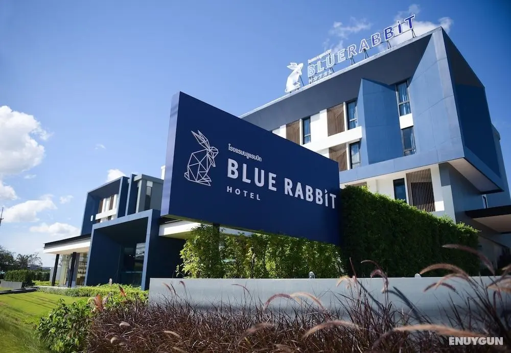 Blue Rabbit Hotel - Öne Çıkan Resim