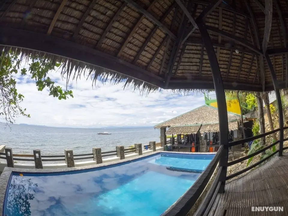 Blue Ribbon Dive Resort - Havuz
