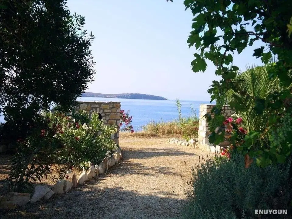 Blue & Sea Studios - Öne Çıkan Resim