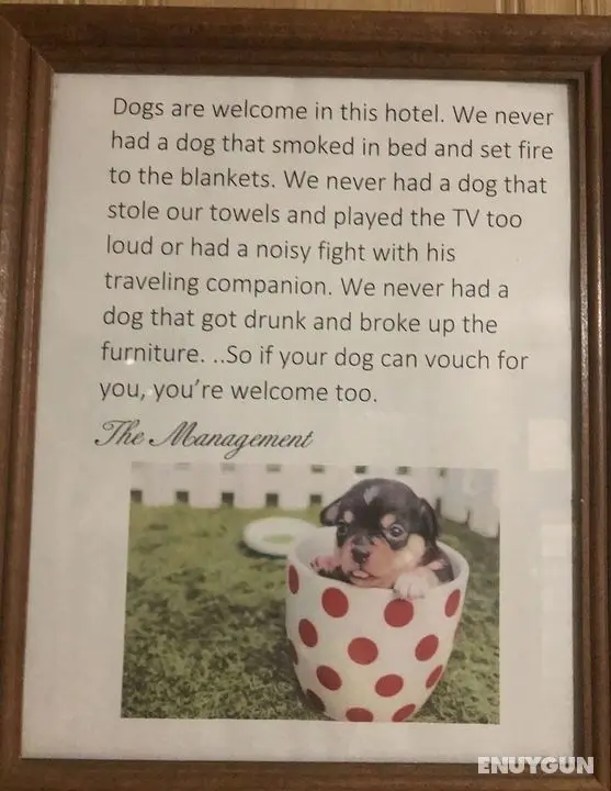 Hotel Blue Top Inn - Lobi