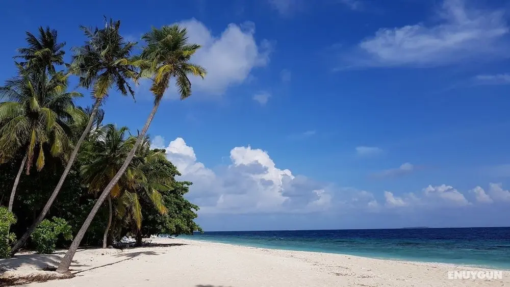Blue World Dharavandhoo - Konum Öne Çıkanlar