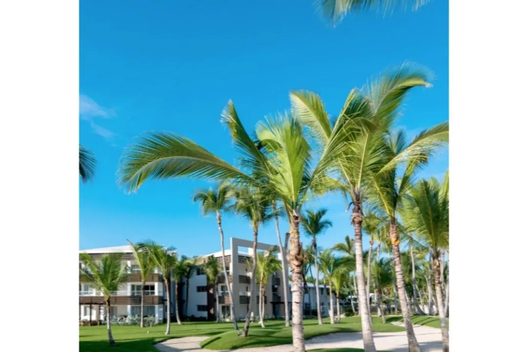 Bluebay Grand Punta Cana Luxury All Inclusive - Genel
