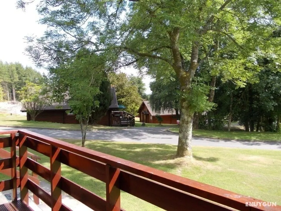 Bluebell Lodge 4 with Hot Tub - Dış Mekanlar
