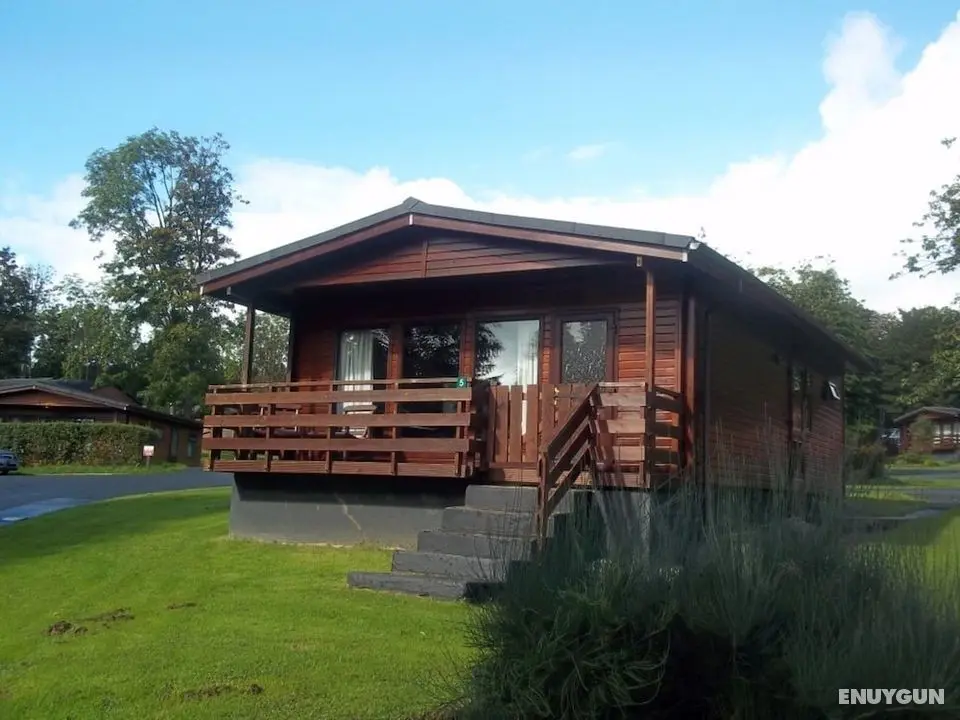 Bluebell Lodge 5 with Hot Tub - Öne Çıkan Resim