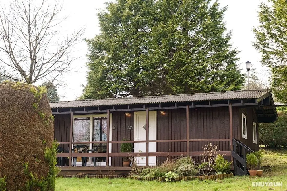 Bluebell Lodge set in a Beautiful 24 Acre Woodland Holiday Park - Dış Mekan