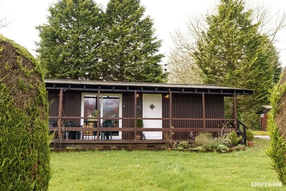 Bluebell Lodge set in a Beautiful 24 Acre Woodland Holiday Park - Öne Çıkan Resim