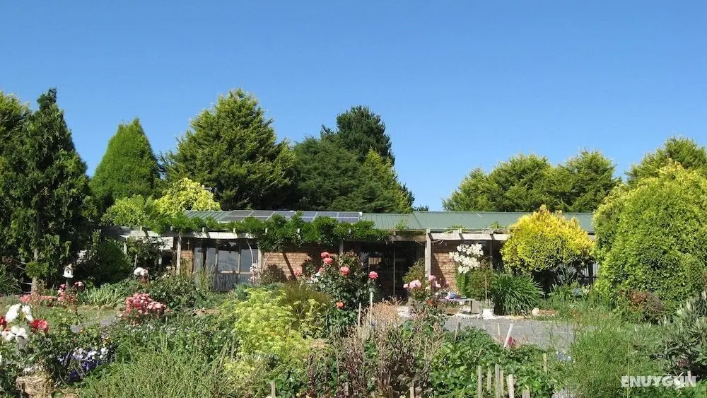 Blueberry B & B - Öne Çıkan Resim