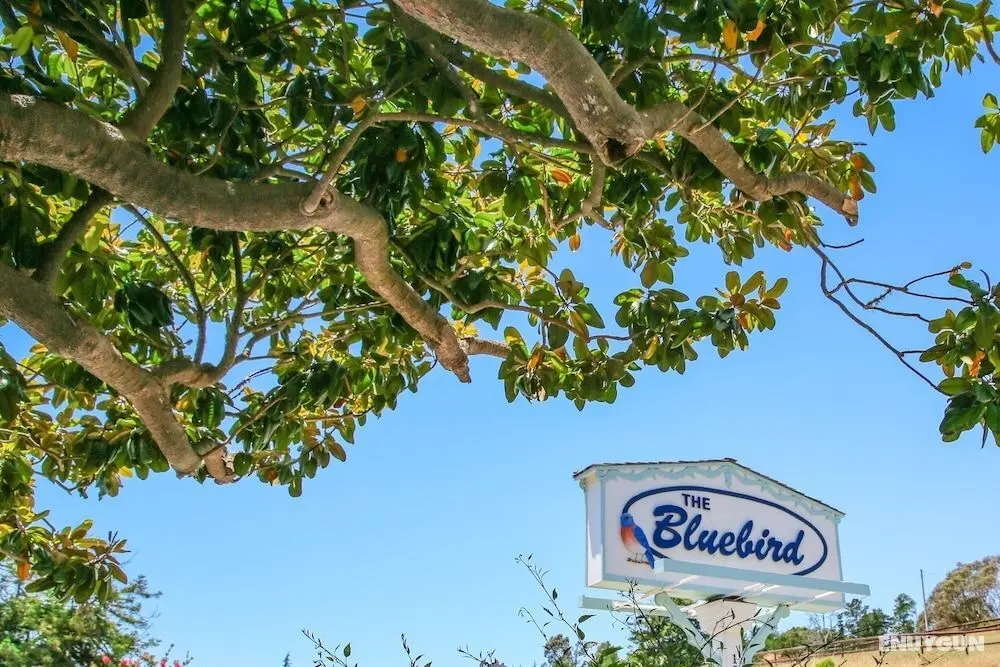 Bluebird Inn - Öne Çıkan Resim