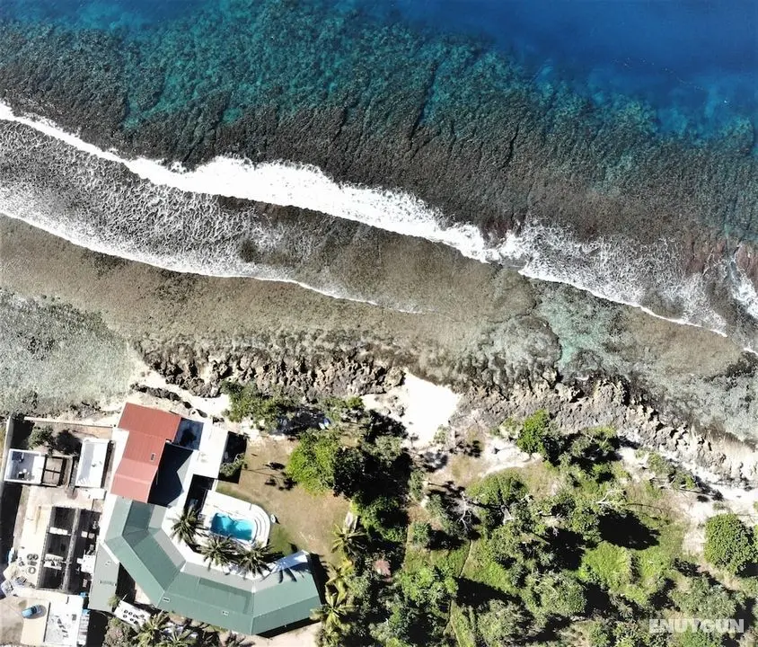 Bluepango Guest House - Hostel - Dış Mekan