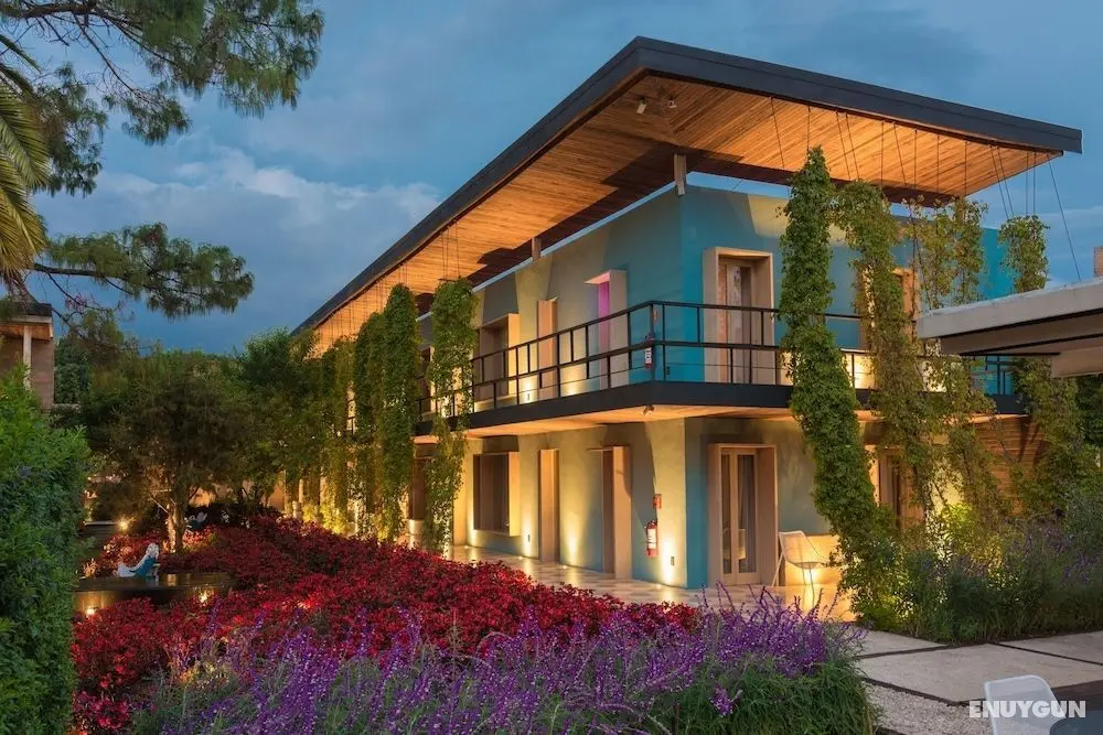 Hotel Bo - Öne Çıkan Resim