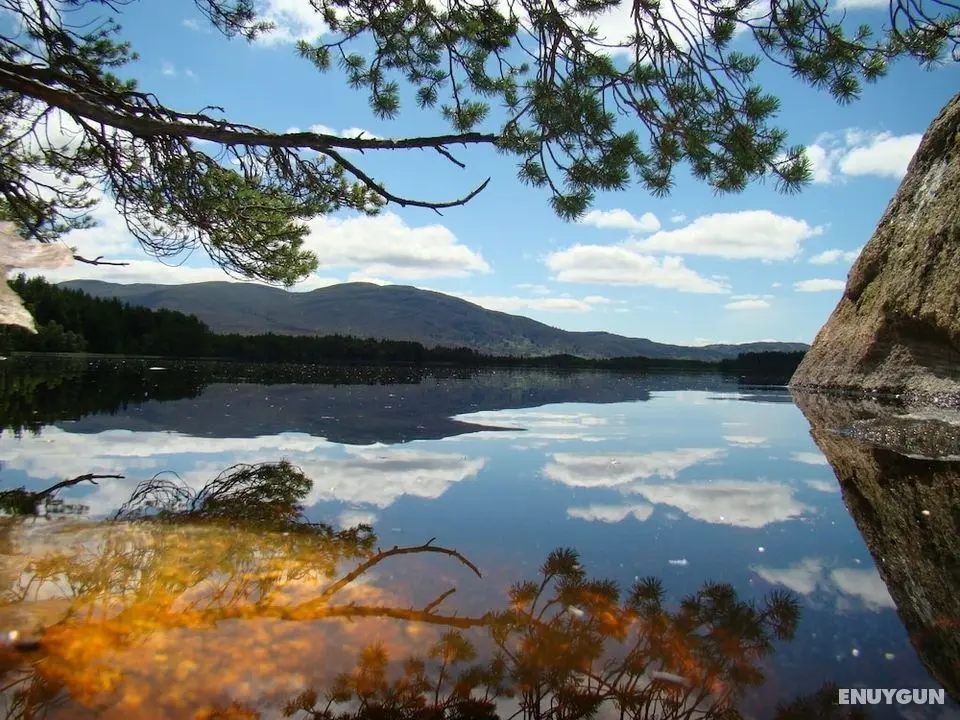 The Boat House Chalet, Boat of Garten, Near Aviemore, Sleeps 6 - Dış Mekan