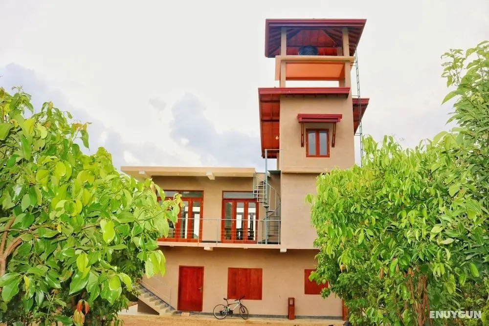 Bobos Cinnamon Estate Sri Lanka - Öne Çıkan Resim