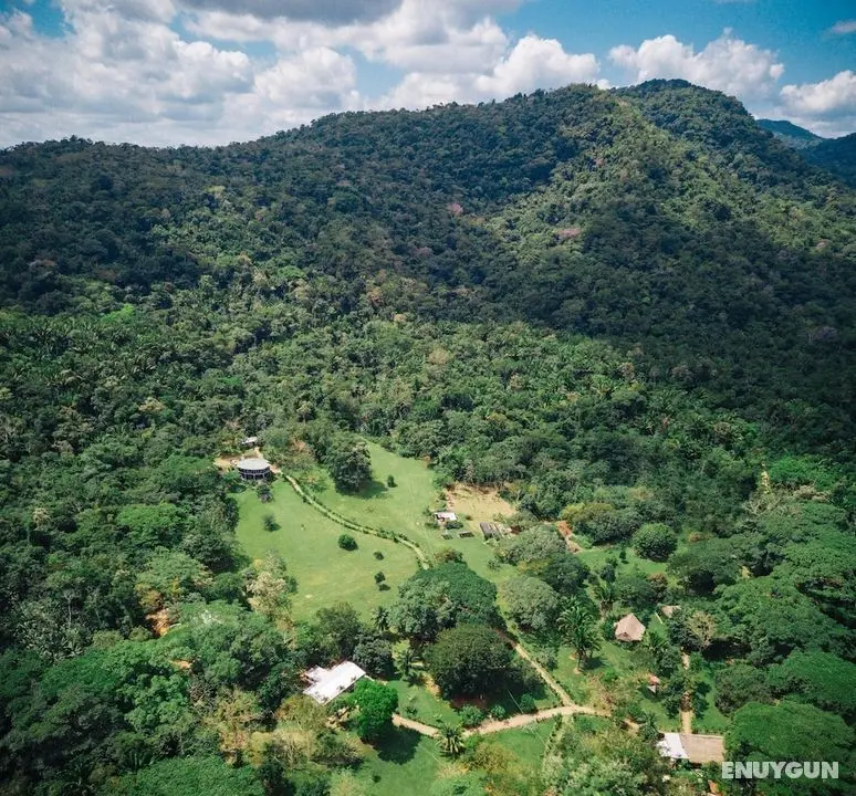 Bocawina Rainforest Resort & Adventures - Öne Çıkan Resim