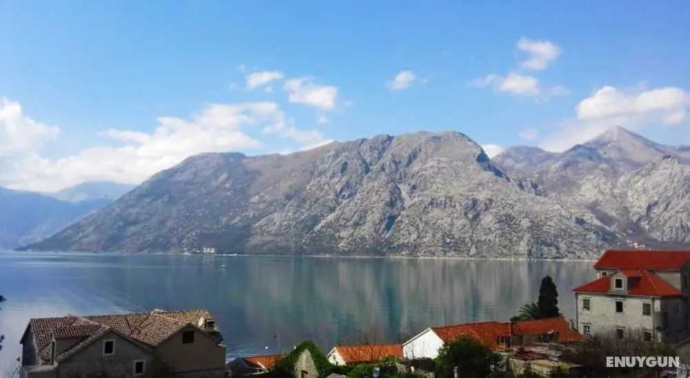 Bocche di Cattaro Apartments - Oda Manzaraları