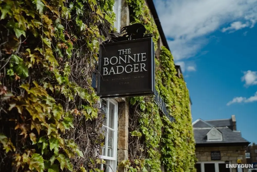 The Bonnie Badger - Öne Çıkan Resim