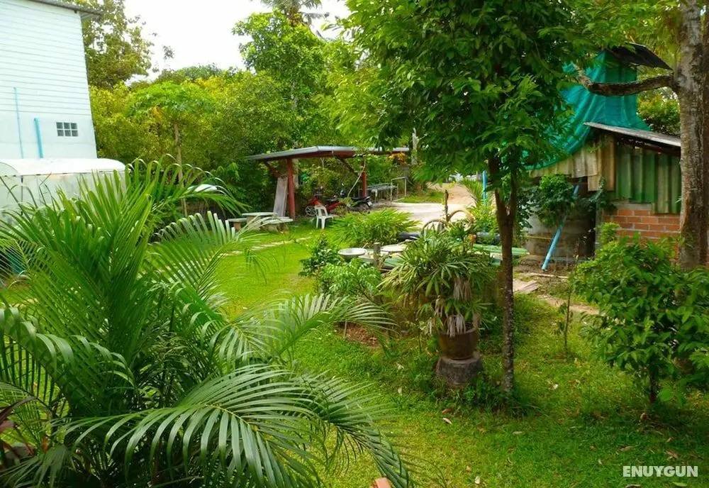 Bonus Bungalow - Dış Mekanlar