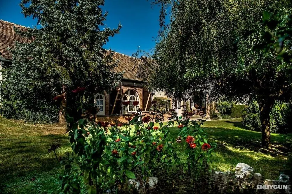 Bor ka Holiday Home - Öne Çıkan Resim