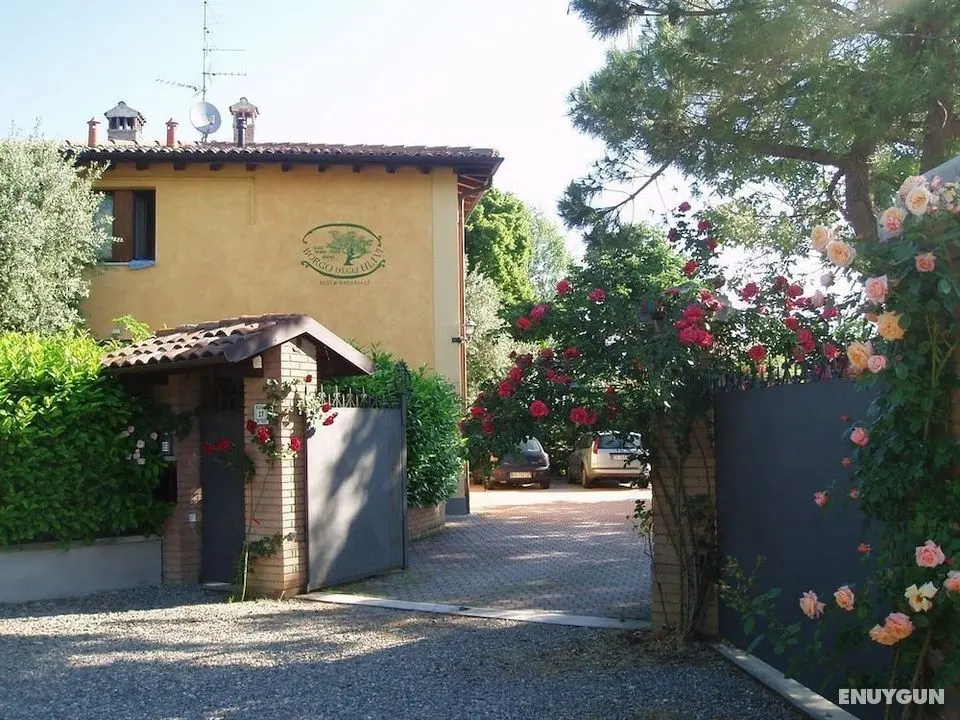 Borgo degli Ulivi - Öne Çıkan Resim