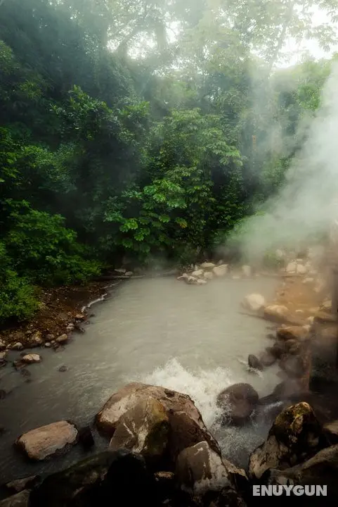 Borinquen Mountain Resort & Spa - Genel