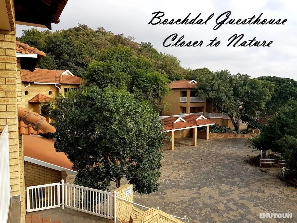 Boschdal Guesthouse - Bina Özellikleri