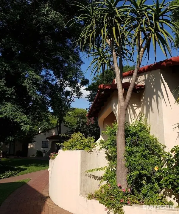 Villa Botanica Executive Guest House - Öne Çıkan Resim
