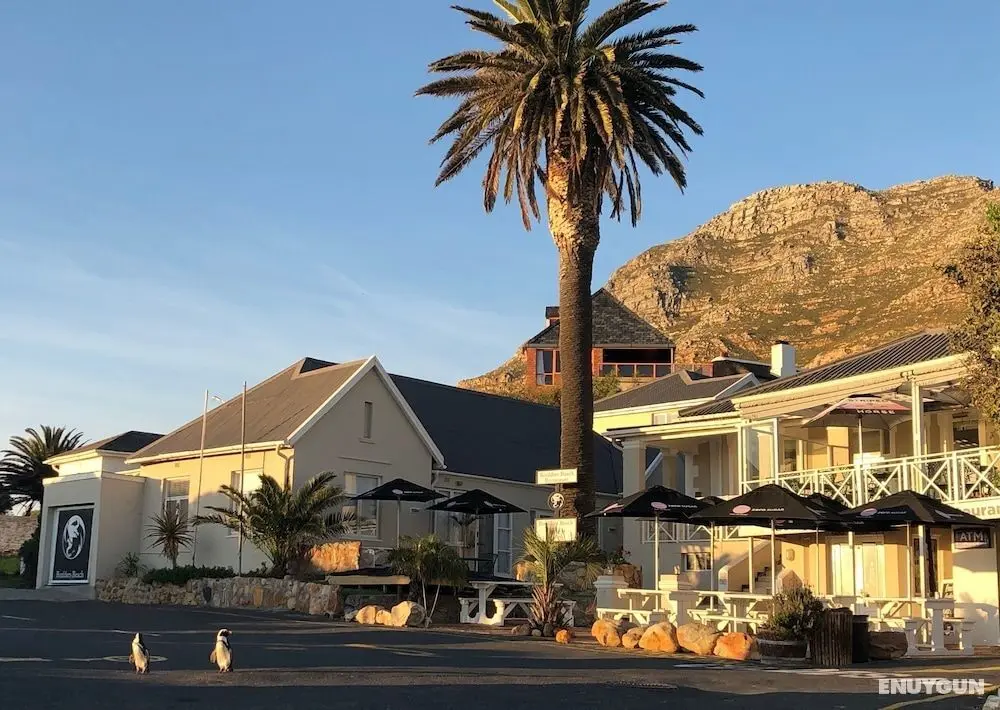 Boulders Beach Hotel, Cafe and Curio - Öne Çıkan Resim