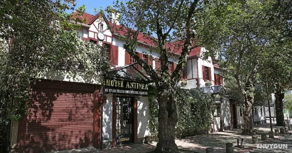 Boutique Hotel Antinea - Öne Çıkan Resim
