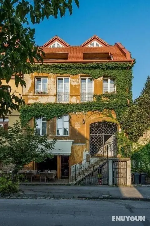 Boutique Hotel Carpe Diem - Öne Çıkan Resim