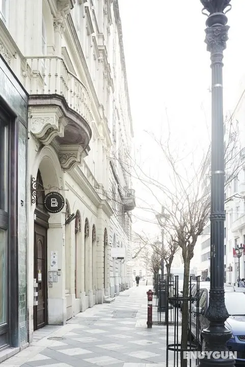 BOUTIQUE RESIDENCE BUDAPEST - Genel