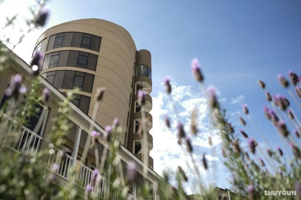 Hotel Boutique Rosario Sur - Dış Mekan