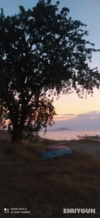 Boz Geyik Pansiyon - Genel