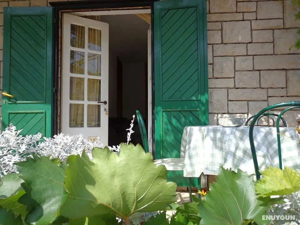 Brane - 150m From sea - A1 - Öne Çıkan Resim