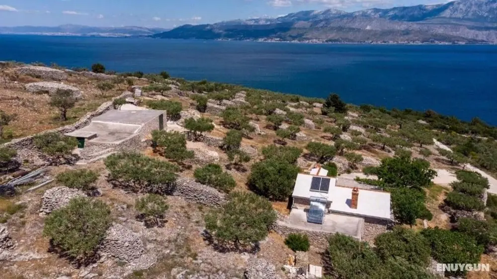 Branko - Large Terrace - H - Öne Çıkan Resim