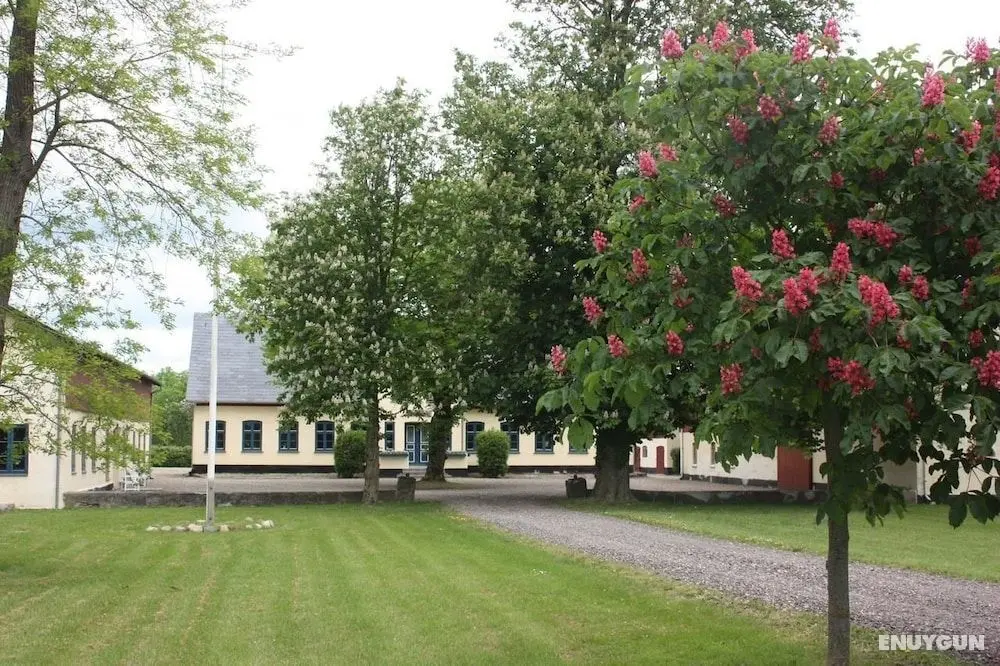 Bremsmaj Farm Holiday - Öne Çıkan Resim