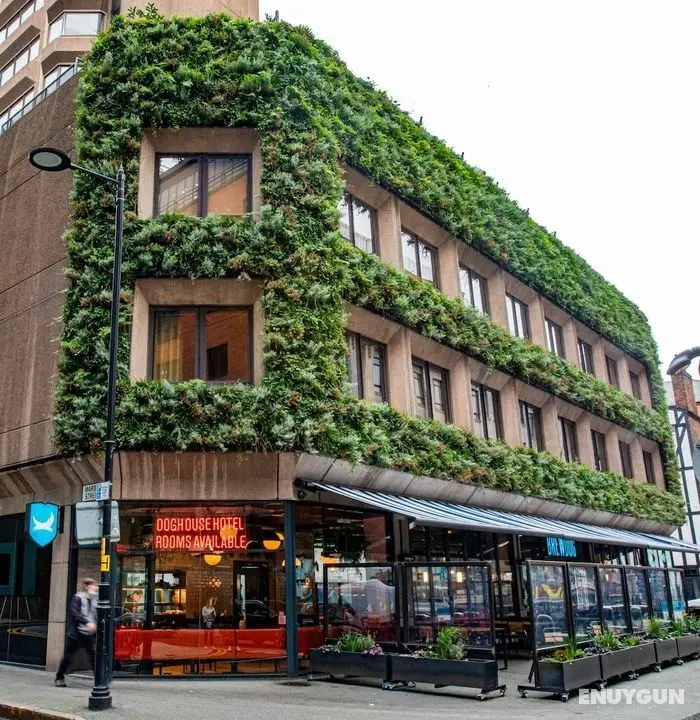BrewDog DogHouse Manchester - Öne Çıkan Resim